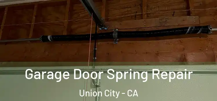  Garage Door Spring Repair Union City - CA
